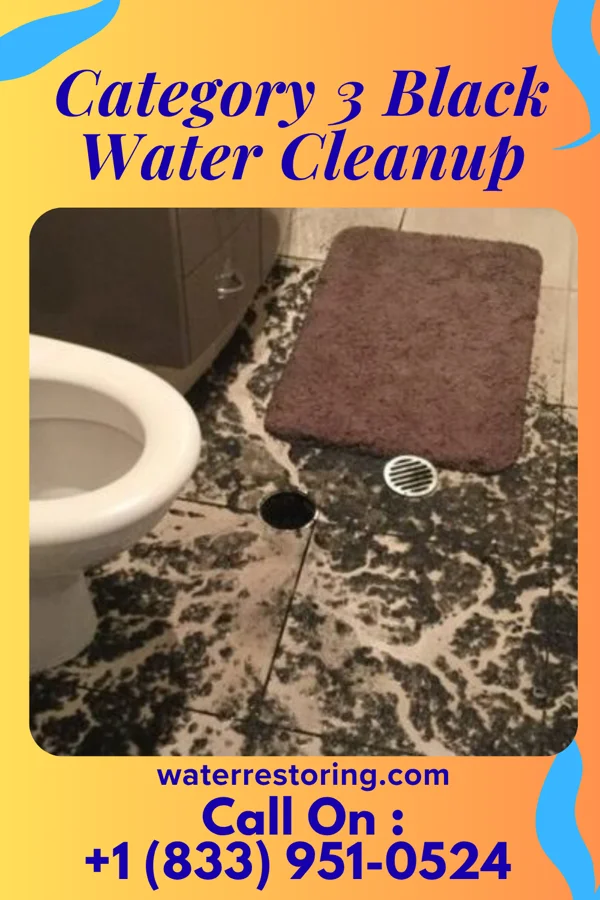 Category 3 Black Water Cleanup in Rogers, TX