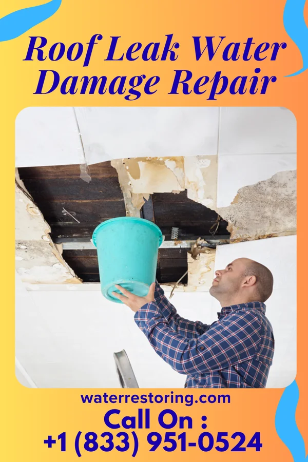 Roof Leak Water Damage Repair in Rogers, TX